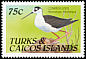 Black-necked Stilt Himantopus mexicanus