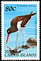 American Oystercatcher Haematopus palliatus  1990 Birds 