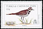 Killdeer Charadrius vociferus  1993 Birds and nests 