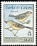 Thick-billed Vireo Vireo crassirostris  1995 Birds 