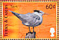 Royal Tern Thalasseus maximus