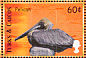Brown Pelican Pelecanus occidentalis  2000 Birds of the Caribbean Sheet
