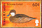 White-cheeked Pintail Anas bahamensis  2000 Birds of the Caribbean Sheet