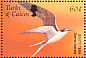 Sooty Tern Onychoprion fuscatus  2002 Birds Sheet
