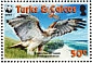 Red-tailed Hawk Buteo jamaicensis  2007 WWF Sheet with 2 sets