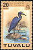 Pacific Reef Heron Egretta sacra  1978 Wild birds 