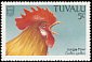 Red Junglefowl Gallus gallus  1988 Birds 