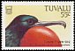 Great Frigatebird Fregata minor  1988 Birds 