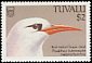 Red-tailed Tropicbird Phaethon rubricauda