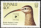 Bristle-thighed Curlew Numenius tahitiensis  1994 SINGPEX 94 