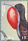 Great Frigatebird Fregata minor  2000 Birds of Tuvalu  MS