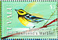 Townsend's Warbler  Setophaga townsendi