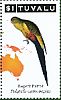 Regent Parrot  Polytelis anthopeplus