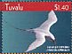 Red-tailed Tropicbird Phaethon rubricauda