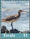 Bristle-thighed Curlew Numenius tahitiensis  2019 Seabirds Sheet