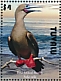 Red-footed Booby Sula sula  2021 Birds of Tuvalu Sheet