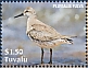 Pacific Golden Plover Pluvialis fulva