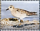 Tuvalu 2023 Pacific Golden Plover Sheet