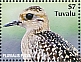 Tuvalu 2023 Pacific Golden Plover 