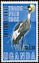 Grey Crowned Crane Balearica regulorum