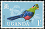 Rwenzori Turaco Gallirex johnstoni  1965 Birds 