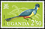 Great Blue Turaco Corythaeola cristata  1965 Birds 