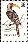 Eastern Yellow-billed Hornbill Tockus flavirostris