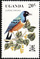 Superb Starling Lamprotornis superbus  1982 Birds 