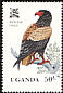 Bateleur Terathopius ecaudatus  1982 Birds 