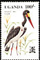 Saddle-billed Stork Ephippiorhynchus senegalensis  1982 Birds 