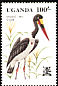 Saddle-billed Stork Ephippiorhynchus senegalensis