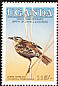 Sedge Warbler Acrocephalus schoenobaenus  1985 Audubon 