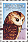 Tawny Owl Strix aluco