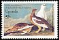 Rock Ptarmigan Lagopus muta  1985 Audubon 