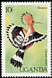 Eurasian Hoopoe Upupa epops  1987 Birds of Uganda 