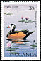 African Pygmy Goose Nettapus auritus  1987 Birds of Uganda 