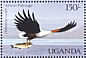 African Fish Eagle Haliaeetus vocifer  1987 Birds of Uganda  MS