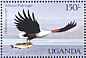 African Fish Eagle Icthyophaga vocifer  1987 Birds of Uganda  MS