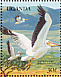 Great White Pelican Pelecanus onocrotalus  1989 Wildlife at waterhole 20v sheet