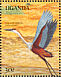 Goliath Heron  Ardea goliath