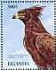 Long-crested Eagle Lophaetus occipitalis  1989 Wildlife at waterhole  MS