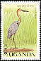 Goliath Heron Ardea goliath