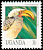 Eastern Yellow-billed Hornbill Tockus flavirostris  1992 Birds 