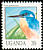 Shining-blue Kingfisher Alcedo quadribrachys  1992 Birds 