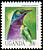 Splendid Starling Lamprotornis splendidus  1992 Birds 
