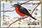 Black-headed Gonolek Laniarius erythrogaster  1995 Waterfowl and wetland birds of Uganda Sheet