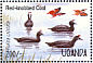 Red-knobbed Coot Fulica cristata  1995 Waterfowl and wetland birds of Uganda Sheet