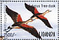 Fulvous Whistling Duck Dendrocygna bicolor  1995 Waterfowl and wetland birds of Uganda  MS MS