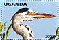 Grey Heron Ardea cinerea  1996 Wildlife of Uganda  MS