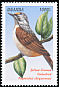 Yellow-fronted Tinkerbird Pogoniulus chrysoconus  1999 Birds of Uganda 